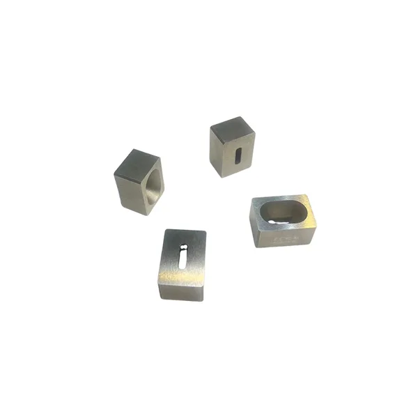 Mold 05